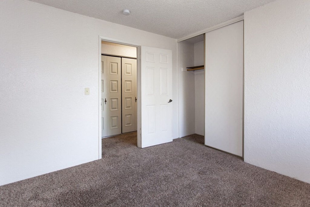 a room with a carpeted floor and a door to a closet