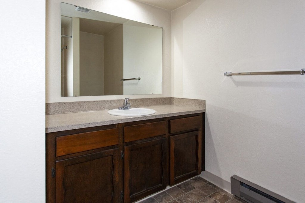 a bathroom with a sink and a mirror