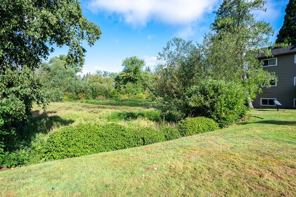 A house is surrounded by greenery and trees.