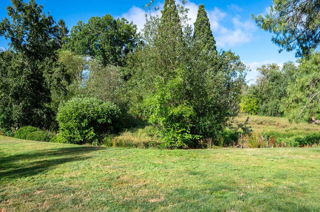 A grassy field with trees in the background.