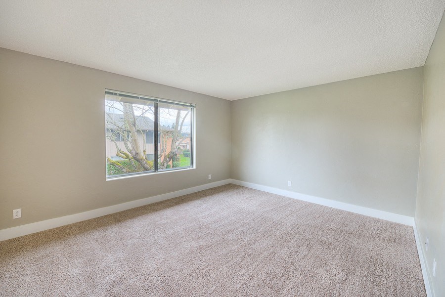 A room with a carpeted floor and a window showing an outdoor view.