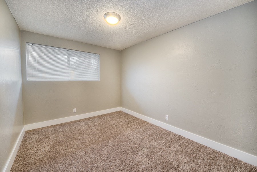 A room with a carpeted floor and a window with blinds.