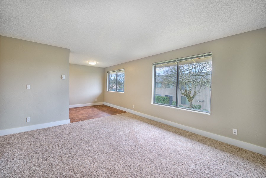 A room with a carpeted floor and a window showing a tree outside.