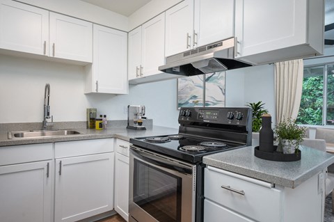 a kitchen with white cabinets and black appliances and a sink