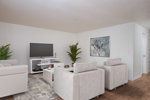 our apartments offer a living room with couches and a tv