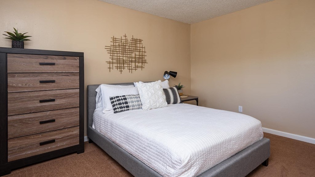 a bedroom with a bed and a dresser