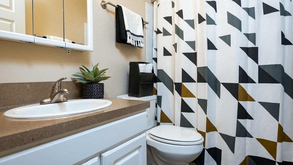 a bathroom with a sink and a toilet and a shower