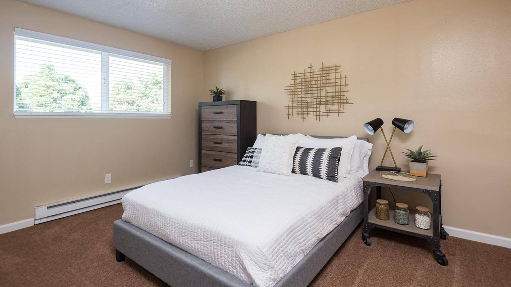 a bedroom with a bed and a dresser