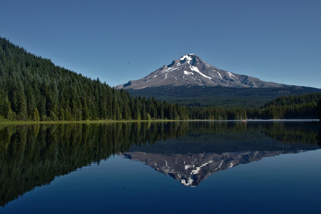 The Byway | Within 1 hour to Mt. Hood