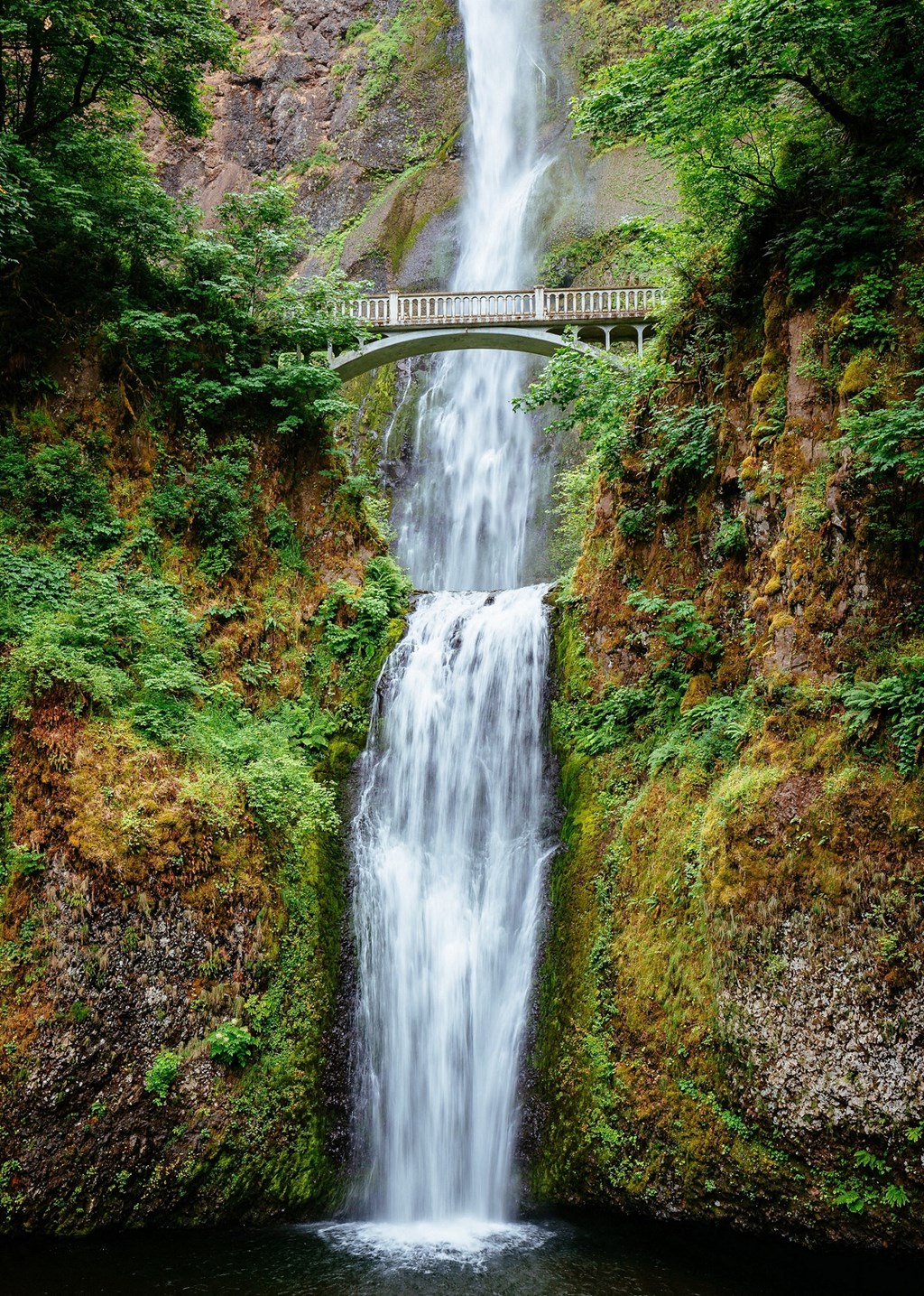 The Byway | Close Proximity to Multnomah Falls