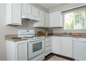 Natural Light in Kitchen