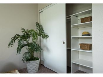 Ample Closet Space