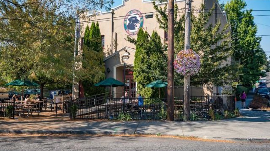 Dwell | Neighboring Business