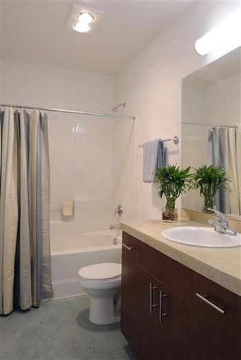 Reliable Apartments | Bathroom - Photo Gallery 6