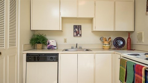 a kitchen with white cabinets and a sink and a dishwasher