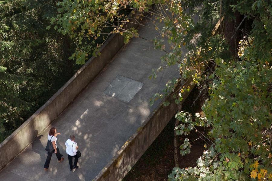 two people walking down a path next to trees