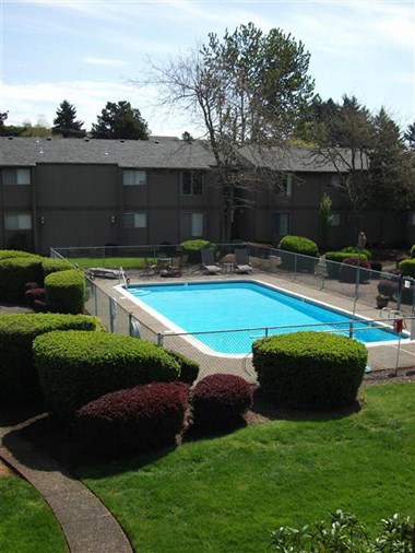 a swimming pool in the middle of a yard