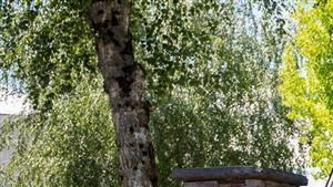 Lancaster Commons | Salem, OR Lancaster Commons | Salem, OR - Photo Gallery 2