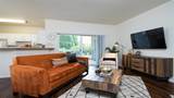 1-bedroom apartment at Village At Main Street Apartments in Wilsonville