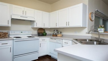 30050 SW Town Center Lp. W Suite 100 1-2 Beds Apartment for Rent Photo Gallery 1
