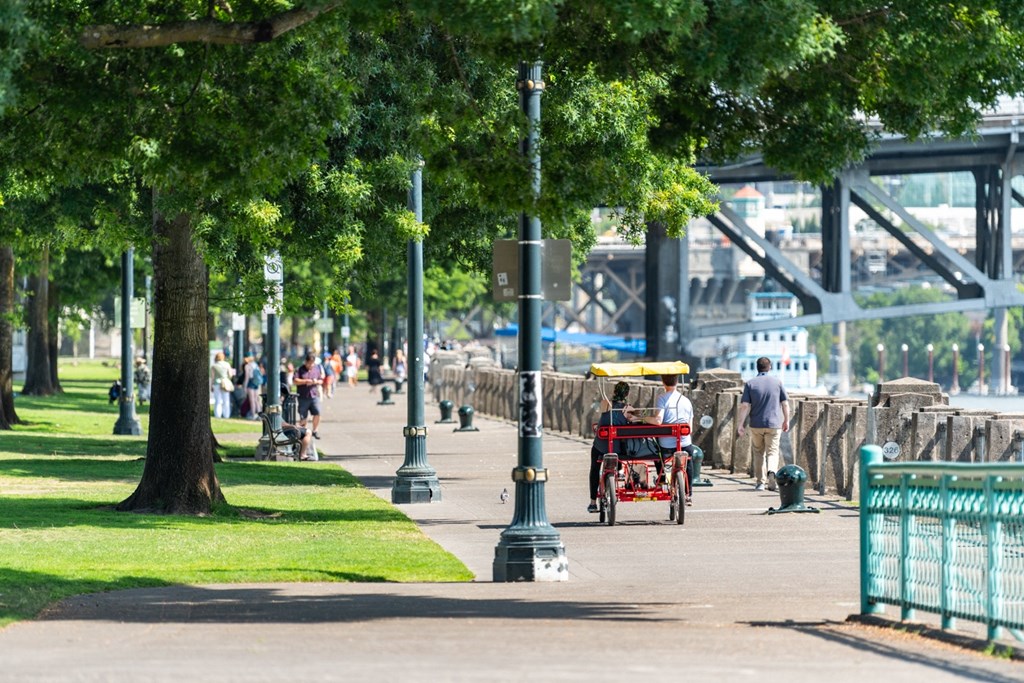 a man riding a horse drawn carriage down a sidewalk