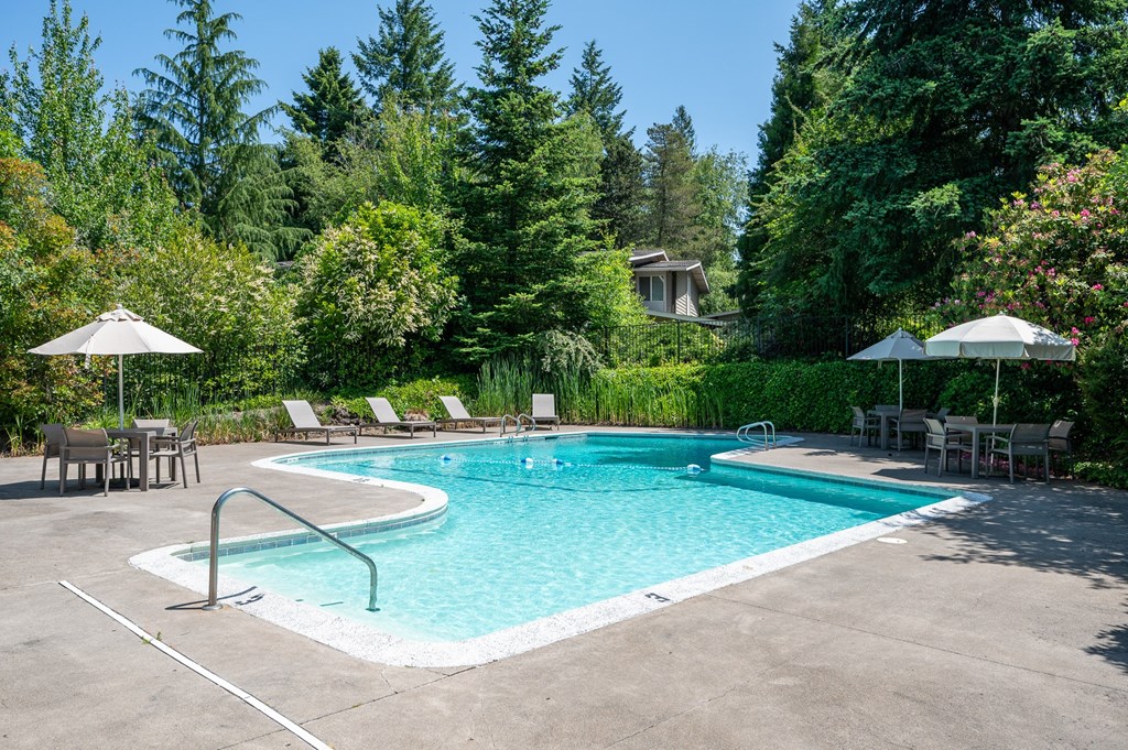 A pool surrounded by trees and chairs.