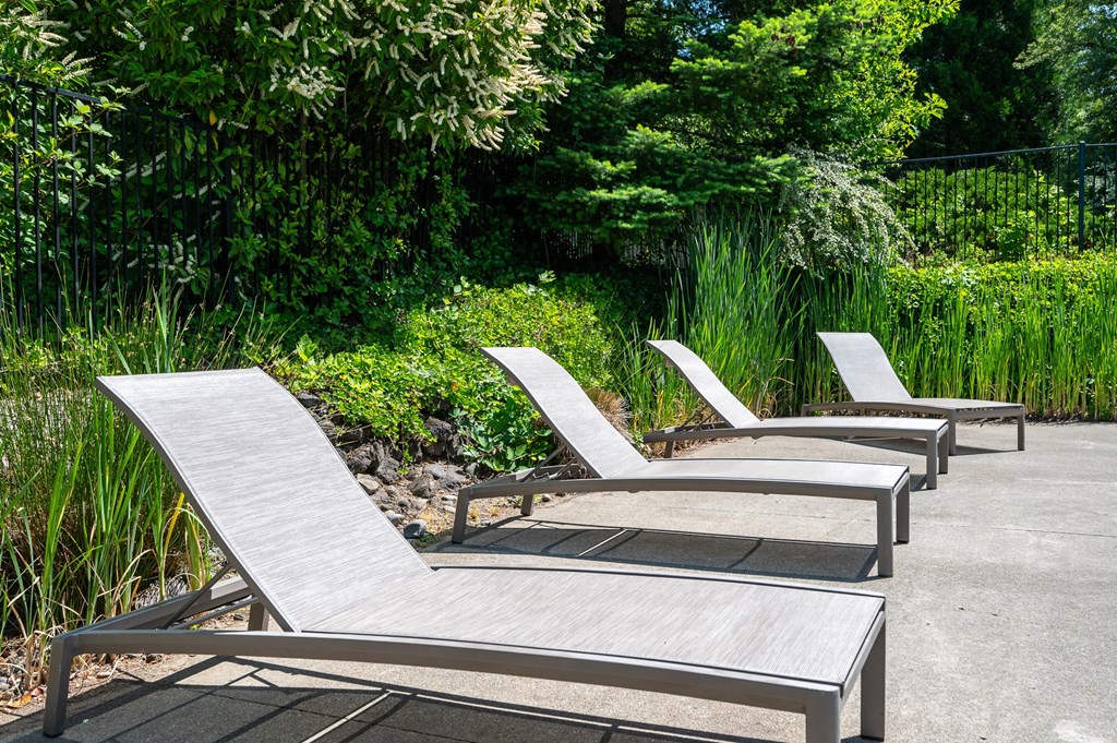 A set of four sun loungers are arranged in a row on a concrete surface.