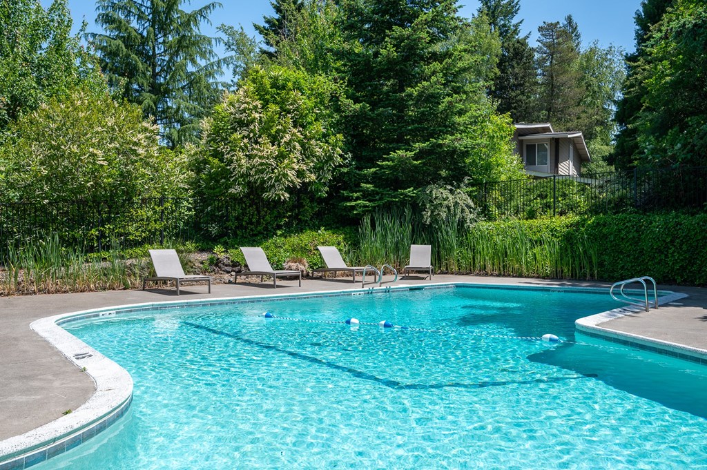 A swimming pool surrounded by trees and chairs.