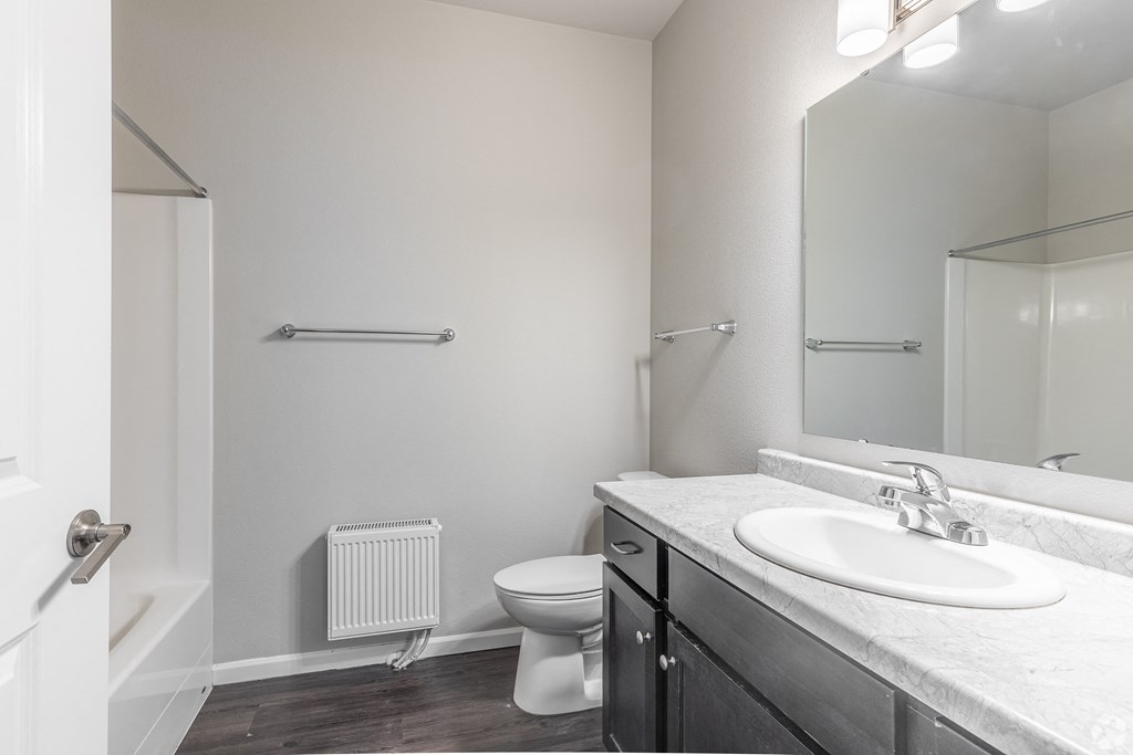 a bathroom with a large mirror and a sink and a toilet