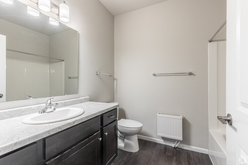 a bathroom with a large mirror and a sink and a toilet