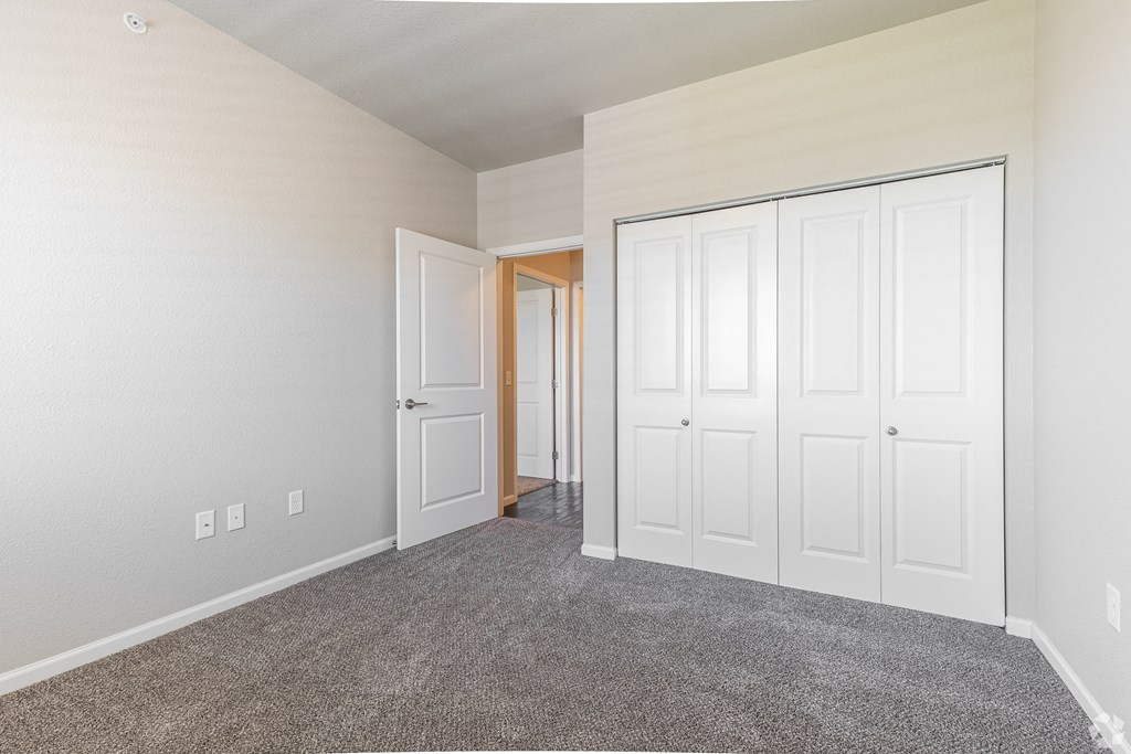 a bedroom with two closets and a door to a hallway