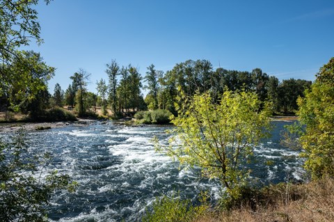 Boulders on the River | View