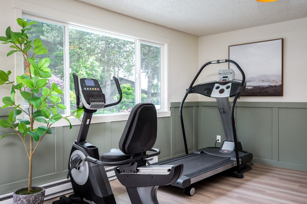 fitness room with treadmill and large window