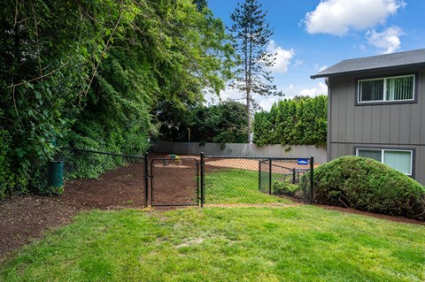 a yard with a chain link fence and a house behind it