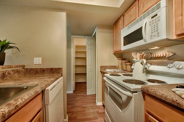 Sycamore Square | Interior