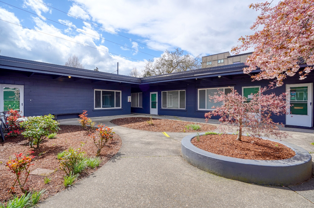 the front of a blue building with a pathway and a tree in front of it