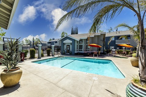 The Marc | Pool