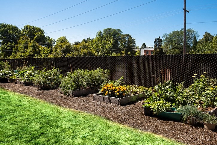 The Park at Fifth | Exterior