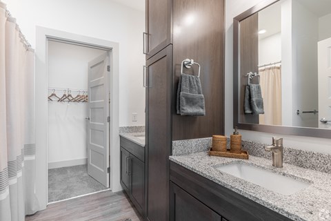 a bathroom with a sink and a mirror and a closet