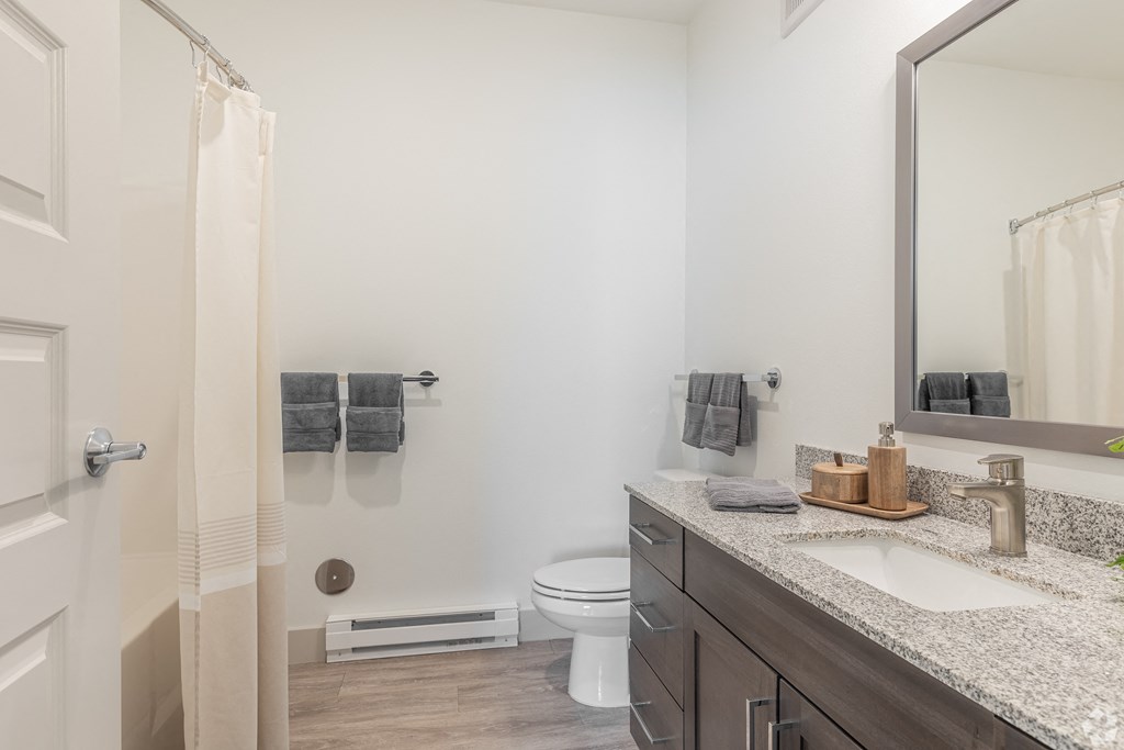 a bathroom with a sink and a toilet and a shower