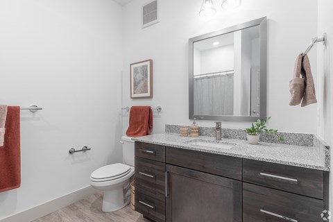 a bathroom with a toilet and a sink and a mirror