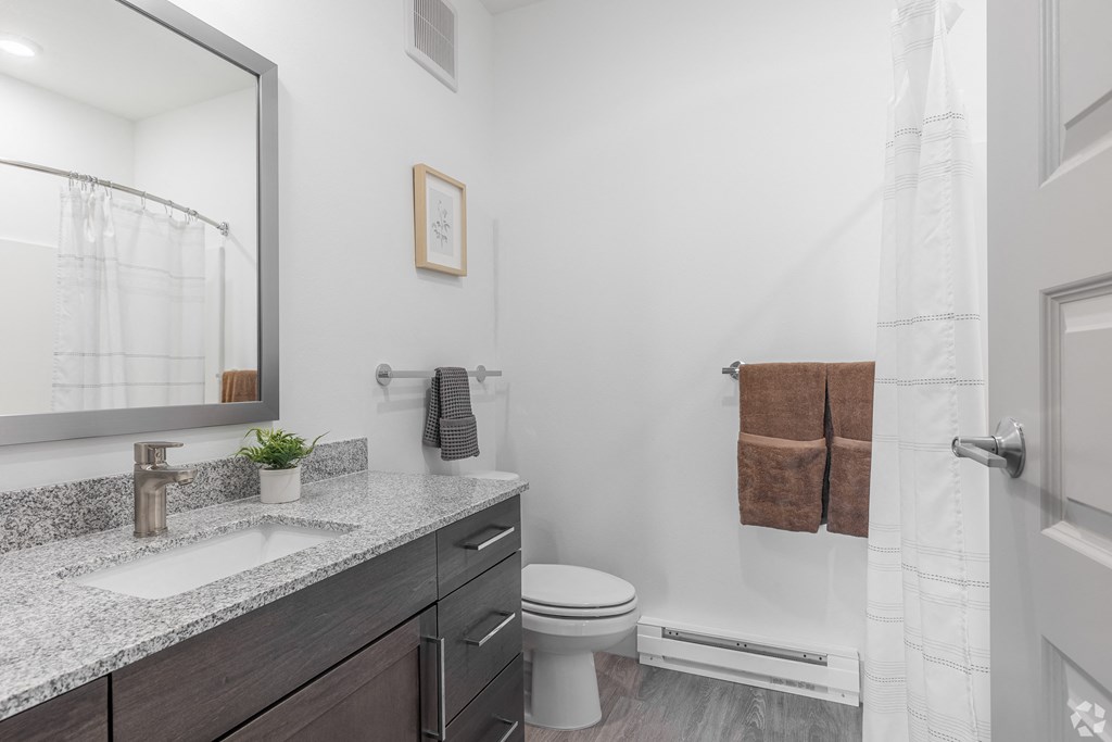 a bathroom with a sink and a toilet and a shower