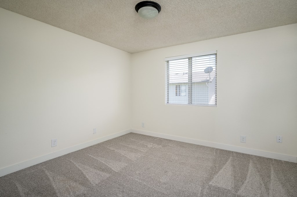 an empty living room with carpet and a window