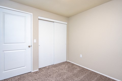 a bedroom with two closets and a carpeted floor