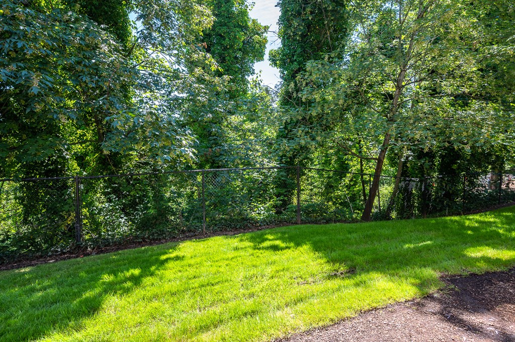 a yard with green grass and trees