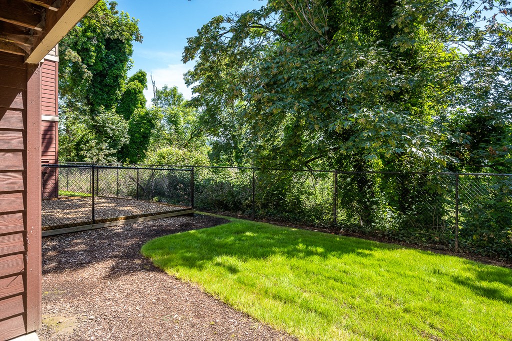 the backyard of a house with a yard and a chain link fence