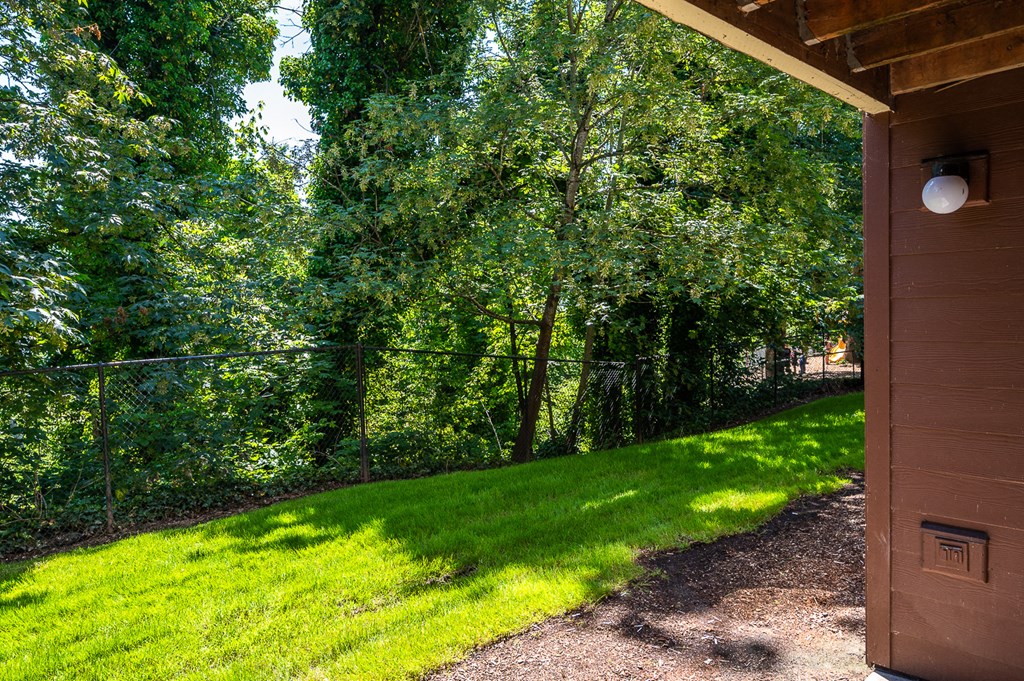 a shed with a view of a yard and trees