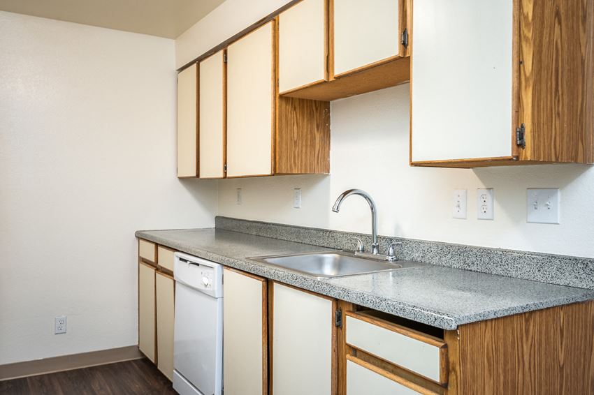 a kitchen with a sink and dishwasher and wooden cabinets