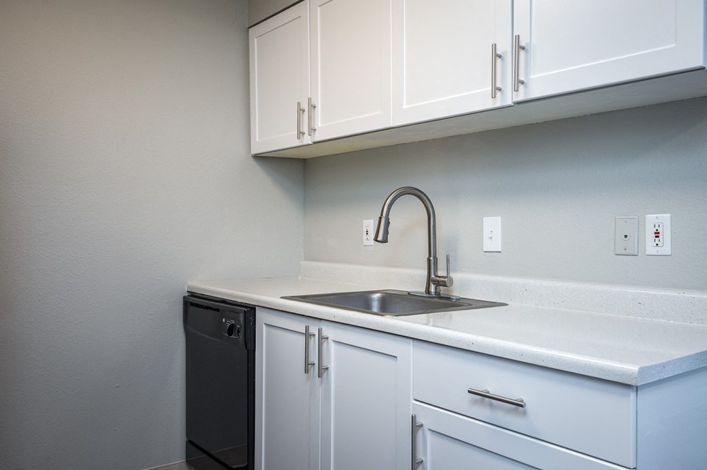 Village at Sunrise | Kitchen sink and Dishwasher