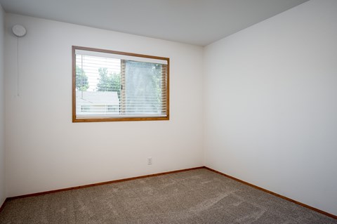 A room with a window and carpeted floor.